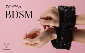 từ điển BDSM